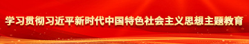 鸡鸡插入超爽干死视频学习贯彻习近平新时代中国特色社会主义思想主题教育